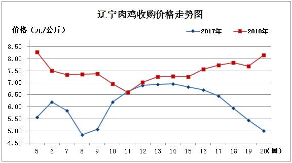 肉雞1.jpg