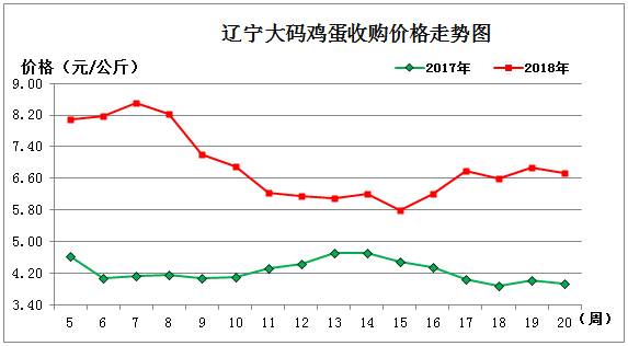 雞蛋1.jpg