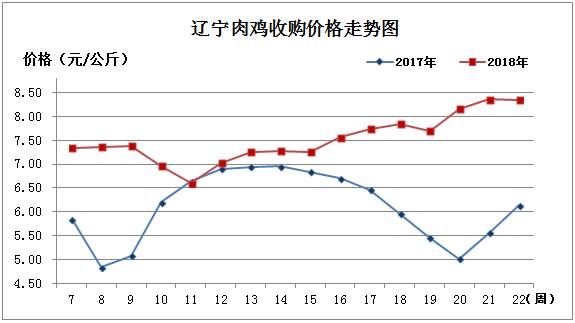 肉雞1.jpg