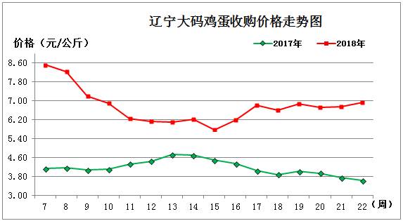 雞蛋1.jpg