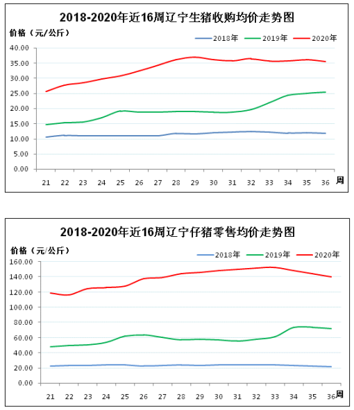 $4)7FTTY2US}V$3ZC0S82$K.png